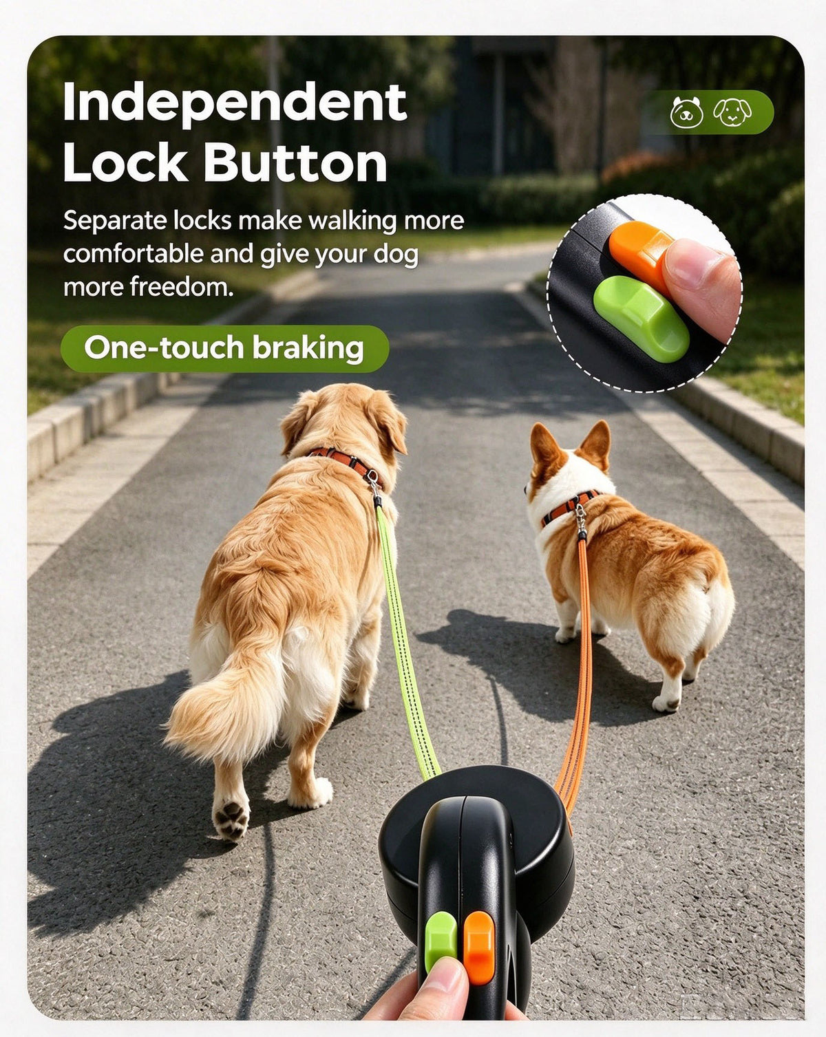 Retractable Dog Leash 2-in-1 — Hands-Free Control with One-Touch Braking & Built-in LED Light